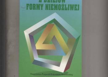 Z dziejów formy niemożliwej - Katarzyna Kasztenna