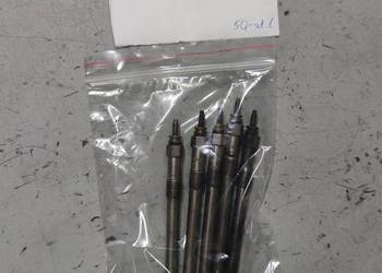 Świeca żarowa Ford 2.0 TDCI 0250202130