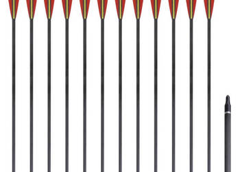 Zestaw strzał z włókna węglowego 30" 076 cm x12 WM-90857