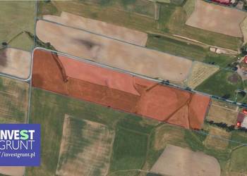 [18,62 ha] grunty rolne przetarg na dzierżawę