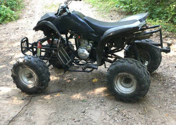 Sprzedam bashan 200