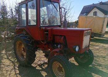Władymirec T25 A