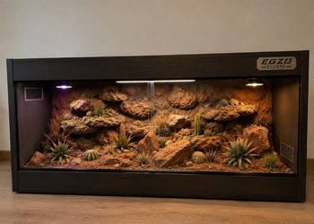 Terrarium specjalistyczne dla gekona lamparciego agamy brodatej
