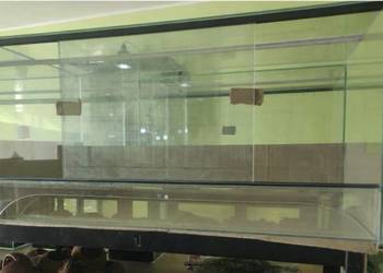 Terrarium nowe różne rozmiary