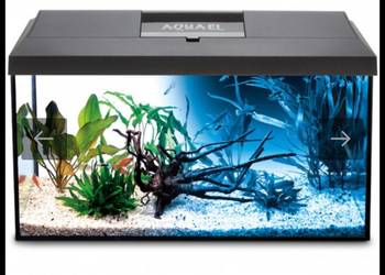 Akwarium aquael 105l Okazja!