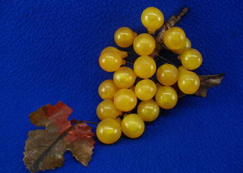 Winogrona dekoracyjne