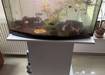 Akwarjum 105 L  i  25L z rybami
