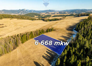 Szukasz lokaty kapitału w sąsiedztwie lasu?