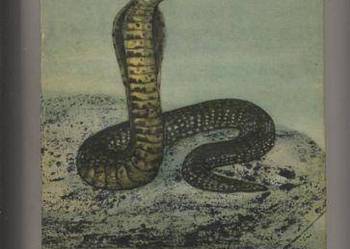 Gady jadowite  Atlas - Jaroniewski Gady jadowite  Atlas - Jaroniewski