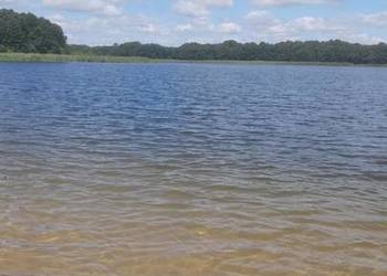 Użyczę działkę rekreacyjną przy jeziorze Białym miej. Goleń gm Piecki