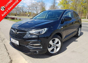 Opel Grandland X 1,5 CDTI Automat Panorama Nawigacja Kamera Zarejestrowany…