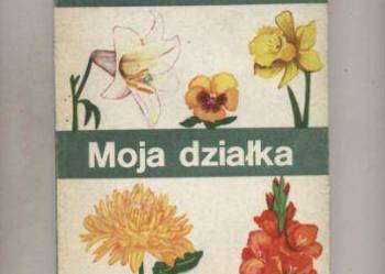 ABC kwiaciarstwa  Moja działka