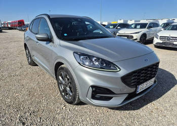 Ford Kuga Poleasingowe.pl PL III (2019-)