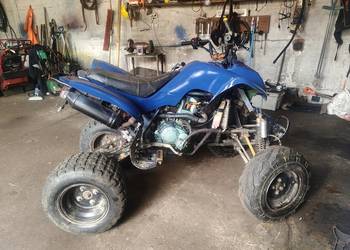 Quad Bashan 250 bs250-b11