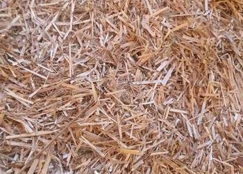 Słoma rozdrobniona, ściółka