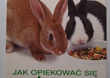Jak opiekować się królikiem Amanda O'Neill Jak opiekować się królikiem Amanda O'Neill