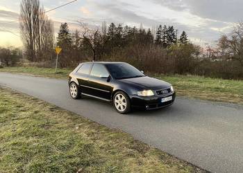 Audi s3 8l BAM