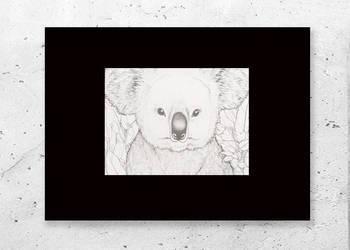 czarno biały plakat A4, miś koala obrazek 21x30, mały plakat do domu, miś