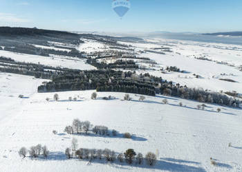 Pakiet działek w Frydmanie