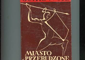 Miasto przebudzone - Sujkowski