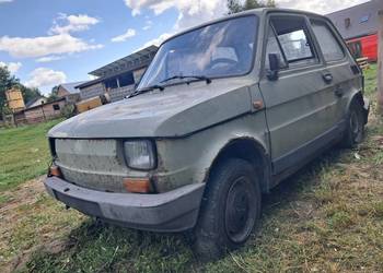 fiat 126p plus przyczepka Niewiadów