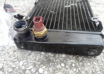 Chłodnica Suzuki SV 1000