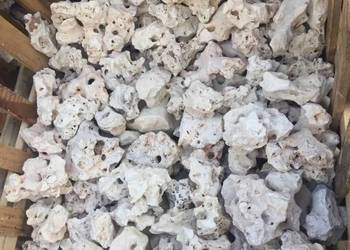 WAPIEŃ FILIPIŃSKI Biała Skała do Akwarium Malawi Tanganika Seriyu Iwagumi