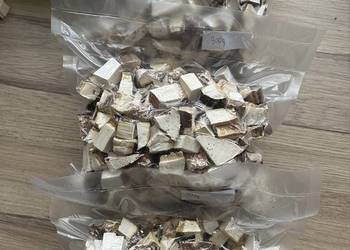 Białoporek brzozowy suszony 840g