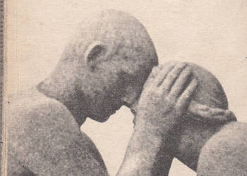 (01040) O DOJRZEWANIU SEKSUALNYM - LESTER F. BECK
