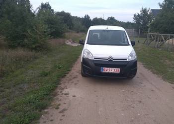 Berlingo
