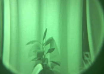 Noktowizor monokular analogowy NVG Pulsar Challenger GS 1x ASG montaż j-arm