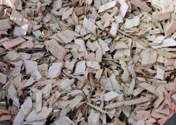 Zrebka lisciasta !!!