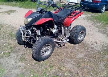 quad 250 manual
