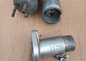 mz jaskolka gaznik kruciec