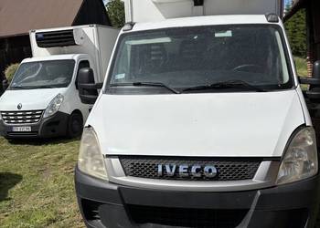 IVECO DAILY, kontener chłodnia- mrożnia