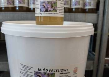 Miód faceliowy 15 kg