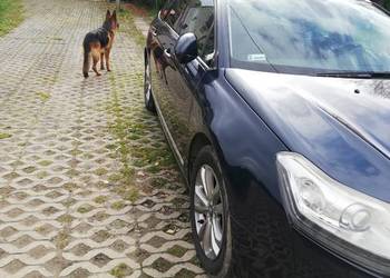 Citroen C5 x7 Lift Led