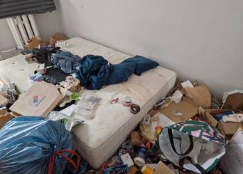 Odgrzybianie ścian i neutralizacja zapachów Krzepice - Vector Usługi