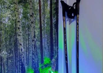 Kije Fizan carbon runner 110 nordic walking