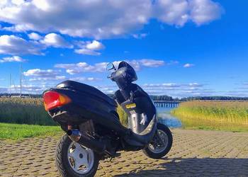 Skuter Zipp 50/100cc 4t