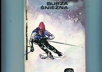 Burza śnieżna - Vegaro Vigerust