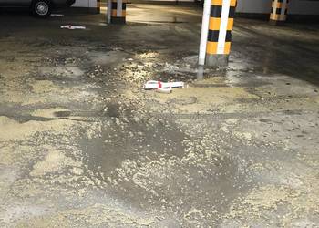Dezynsekcja po zgonach – usuwanie insektów. Terespol - Vector