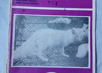 Hodowca Drobnego Inwentarza. Nr 4 / 1977 r.