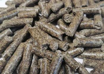 Pellet z łuski słonecznika 8 v big-bag hurt