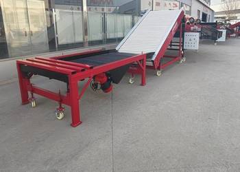 Automatyczny Sortownik do czosnku.