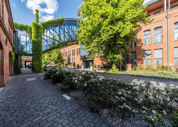 Na wynajem apartament City Park