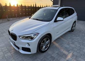 BMW X1 Xdrive M-Pakiet Navi Panorama HeadUp KeylessGo Park Assistant