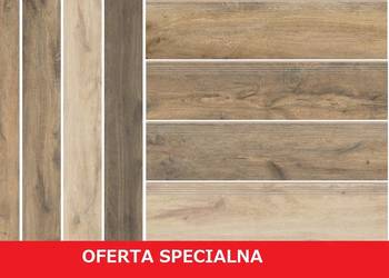 gres 20/120 26/160 guardian drewnopodobnuy stopnica cerrad