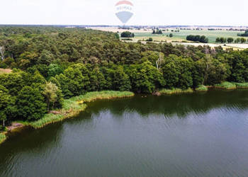 Działka przy jeziorze, blisko Pniew