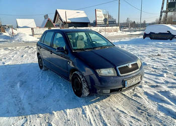 Škoda Fabia Skoda Fabia 1.9TDI 101km 00r I (1999-2008)